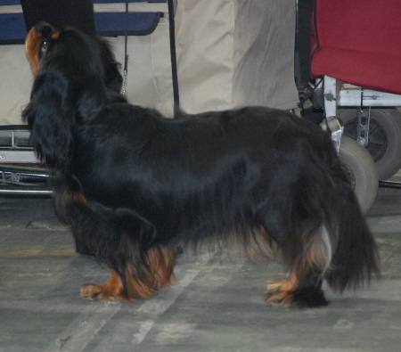 Ella Fitzgerald of Sevijean's