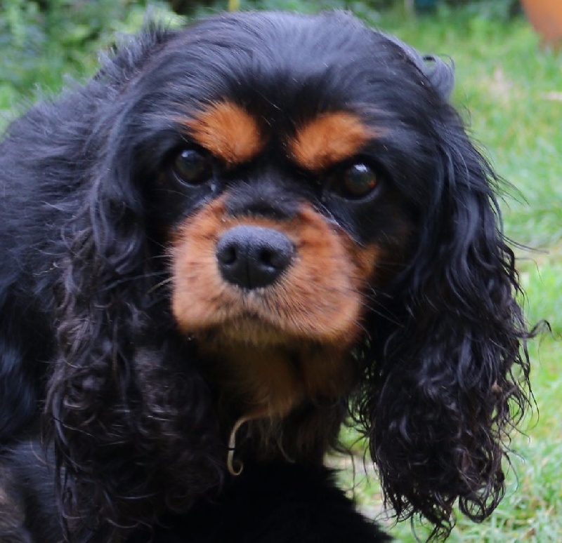 Flash dance of Sevijean's