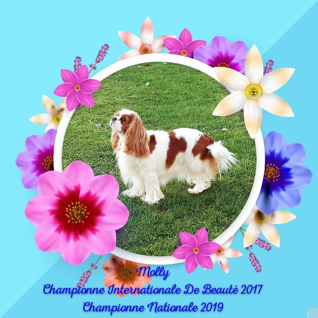 CH. Just a melody of Sevijean's