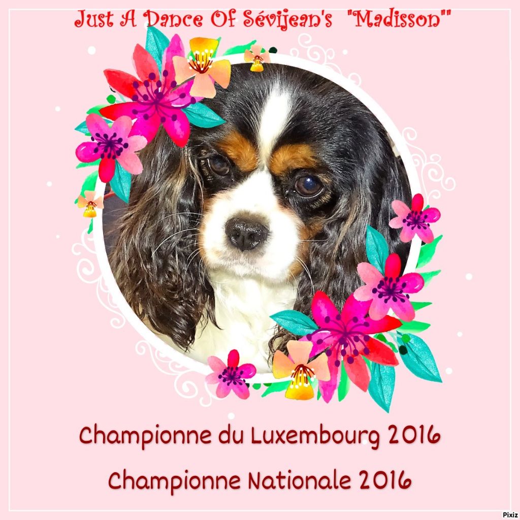 CH. Just a dance of Sevijean's